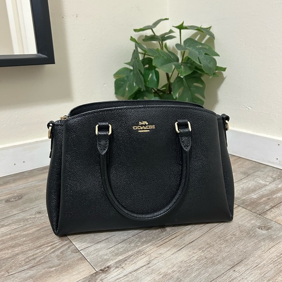 Coach Mini Sage Carryall Bag - Picture 9 of 9